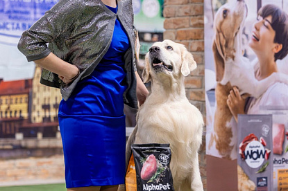 Национальная выставка собак всех пород_0