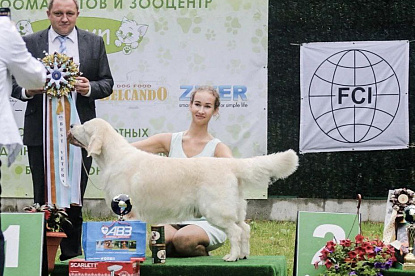 Национальная выставка собак всех пород _1