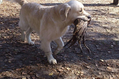 Работаем и отдыхаем_0