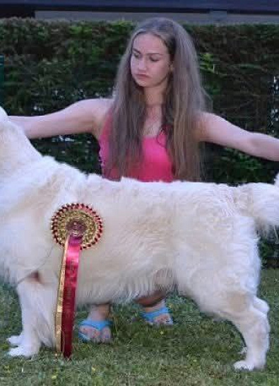 Международная выставка собак всех пород  BLED (Slovenia)