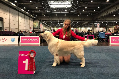 Чемпионат Мира 2017 Лейпциг Германия WORLD DOG SHOW 2017 Leipzig_4