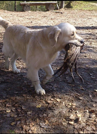 Работаем и отдыхаем