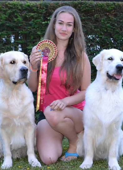 Международная выставка собак всех пород  BLED (Slovenia)