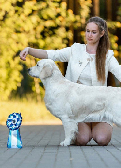 Национальная выставка собак всех пород 2