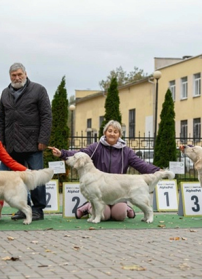 Монопородная выставка