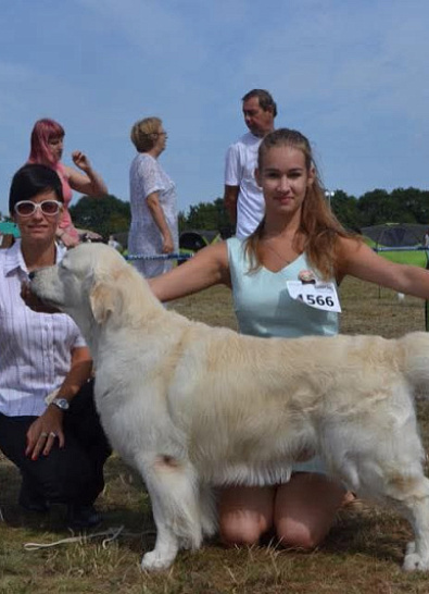 Международная выставка собак всех пород Сопот (Польша)