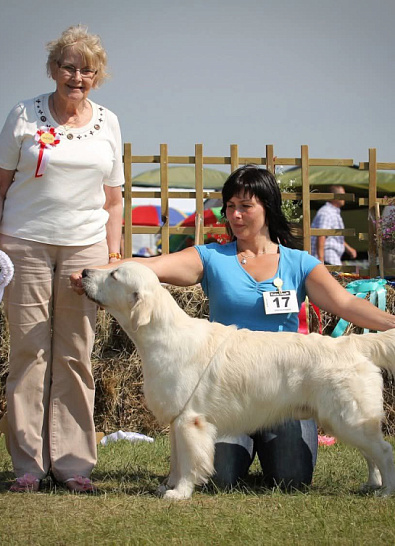 XIX Lithuanian retriever club show , Druskininkai (LT)