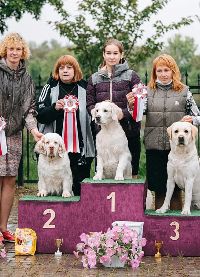 Национальная выставка собак всех пород + CAC VIII gr. + Speciality 