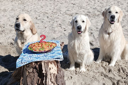 Море и голдены_7