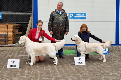 Национальная выставка собак всех пород _0