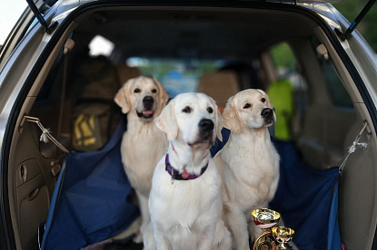 За рингом_12