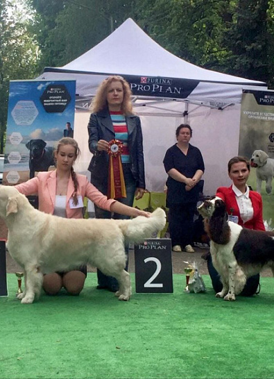 Национальная выставка собак всех пород 