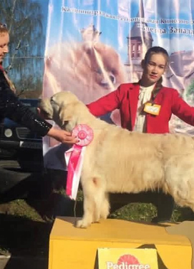 Национальная выставка собак всех пород 