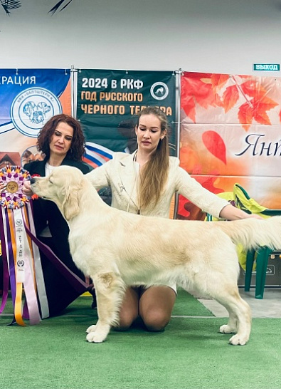 Национальная выставка собак всех пород