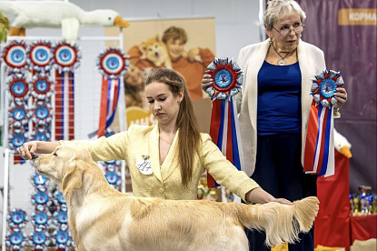 Национальная выставка собак всех пород _3