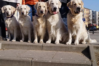 Путешествия_0