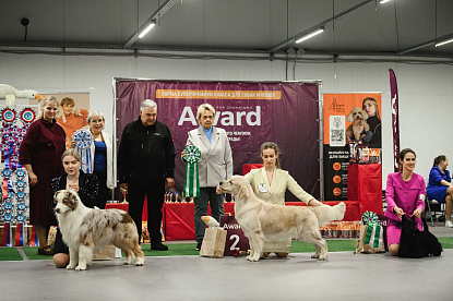 Национальная выставка собак всех пород _2
