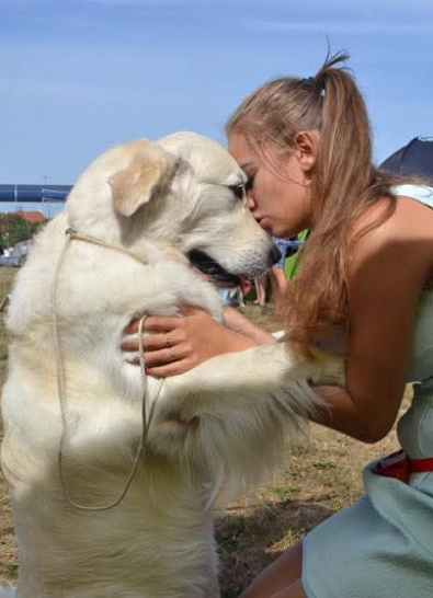 Специализированная выставка VIII группы FCI Сопот (Польша)