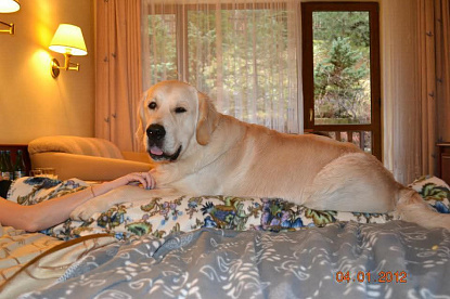 Наша жизнь_0