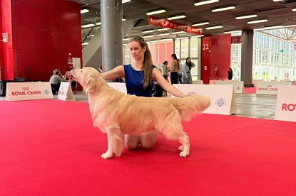 WDS Bologna 2026 and Club Show_0