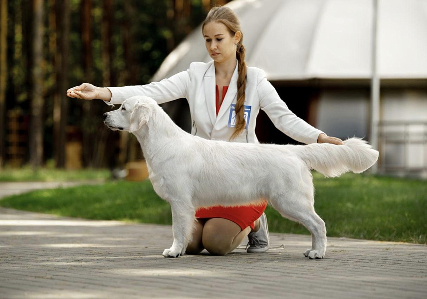 Фото Пайпер стойка