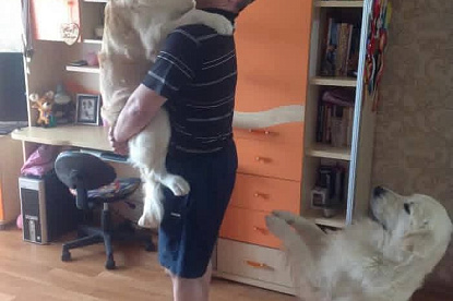 Наша жизнь_18