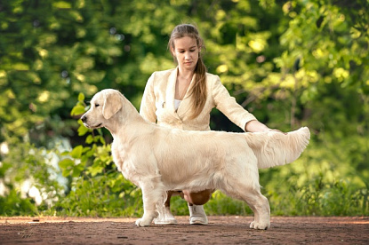 Монопородная выставка_0