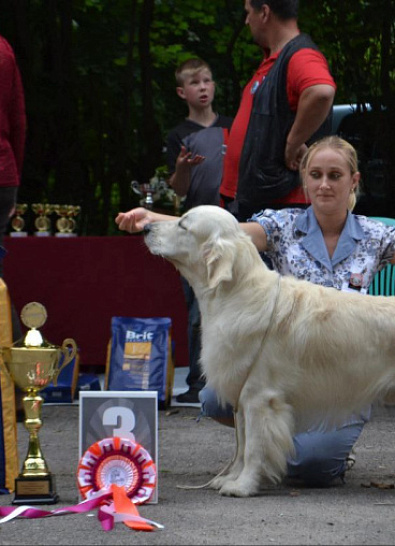 Национальная выставка собак всех пород 