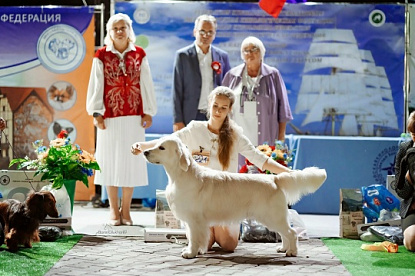 Рейтинговые выставки Калининград_0