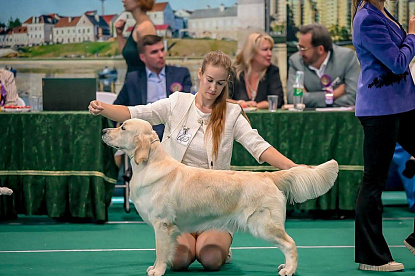 Международная выставка собак Минск Беларусь_6