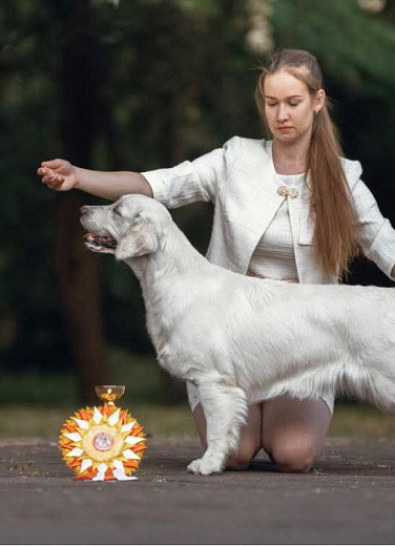 Национальная выставка собак всех пород г.Калининград 