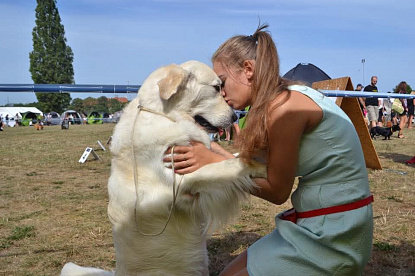 Специализированная выставка VIII группы FCI Сопот (Польша)_1