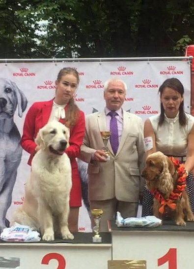 Национальная выставка собак всех пород