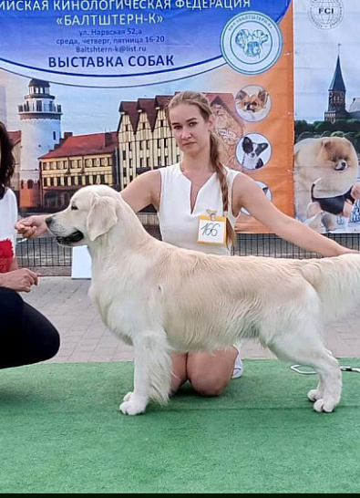 Рейтинговая выставка г. Калининград