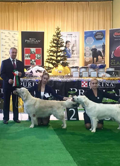 Национальная выставка собак всех пород 
