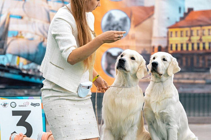 За рингом_11