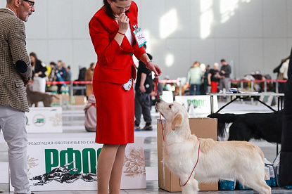 Рейтинговая выставка памяти Сабанеева _3