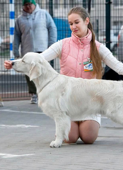 Национальная выставка собак всех пород 