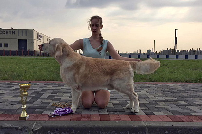 Национальная выставка собак всех пород _4