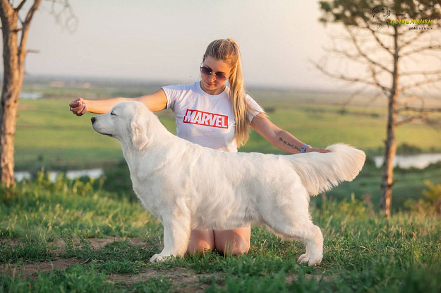 Фото Rock Star iz Stolitsy Urala стойка