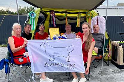 Рейтинговые выставки Калининград_3