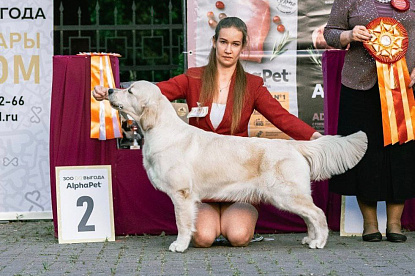 Национальная выставка собак всех пород _2