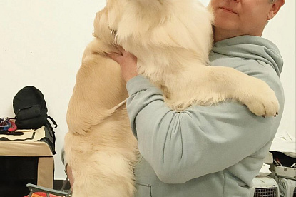 Наша жизнь_19