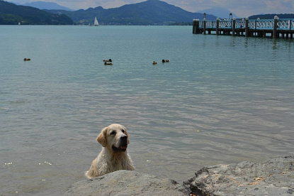 Путешествия_3