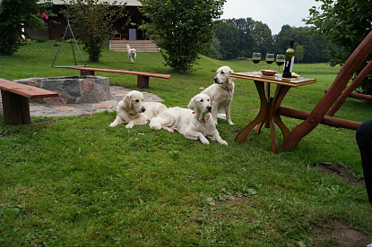 Наша жизнь_6