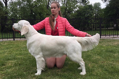 Национальная выставка собак всех пород _0