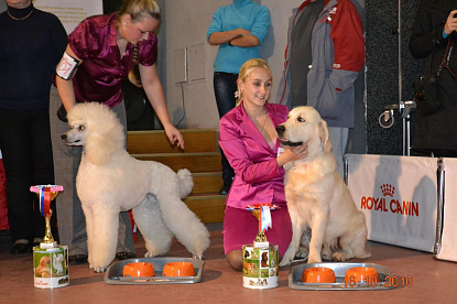 Национальная выставка собак всех пород  _0