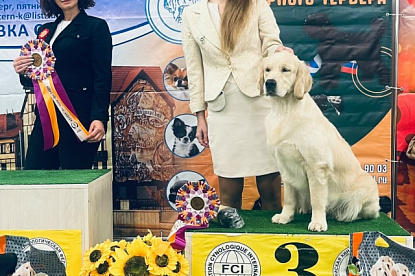 Национальная выставка собак всех пород_1