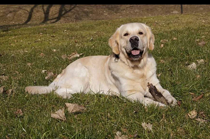 Кевин 06.02.2011 - 24.05.2023_7