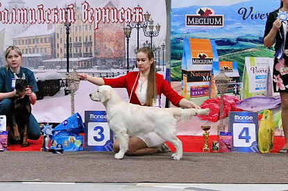 Национальная выставка собак всех пород _0